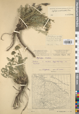 KPABG030288