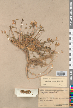 KPABG030293