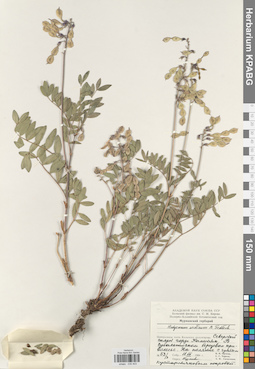 KPABG030403
