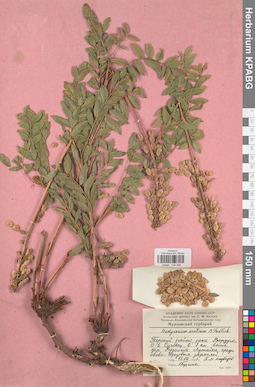 KPABG030406
