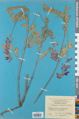 KPABG030408