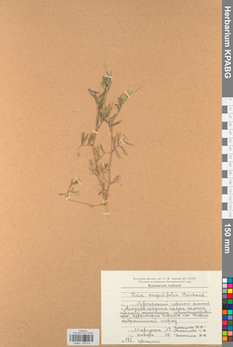 KPABG030412