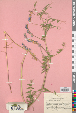KPABG030416