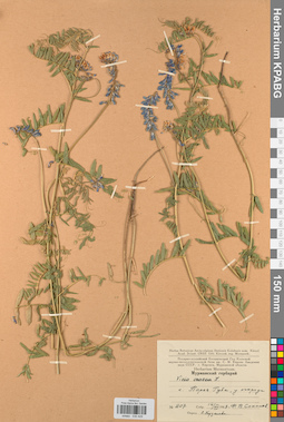 KPABG030429