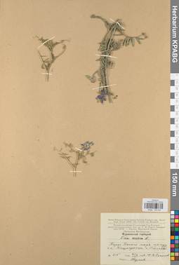 KPABG030434