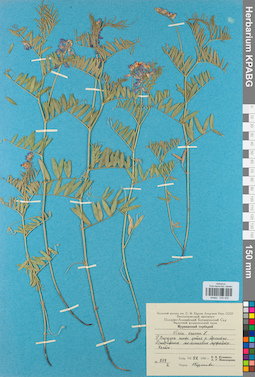 KPABG030435