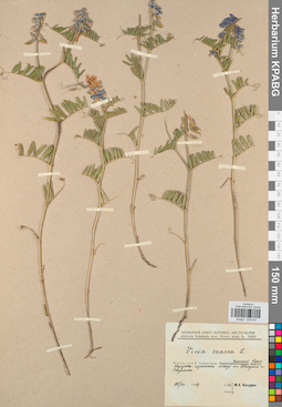 KPABG030437