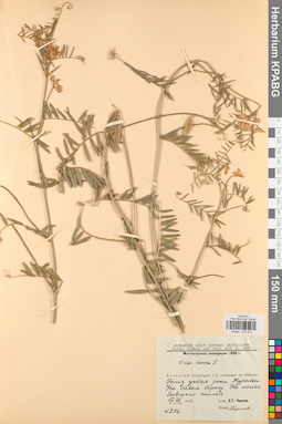 KPABG030447