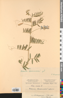 KPABG030448