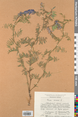 KPABG030450