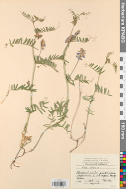 KPABG030455