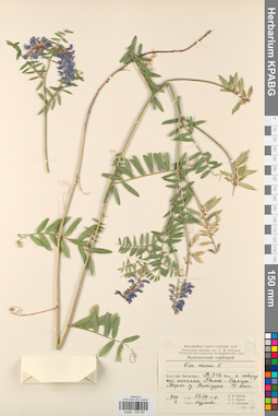 KPABG030456