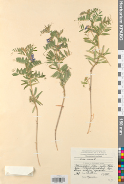 KPABG030457