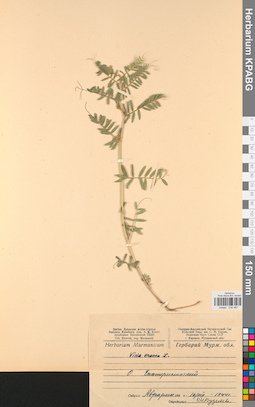 KPABG030467