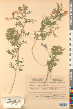 KPABG030468
