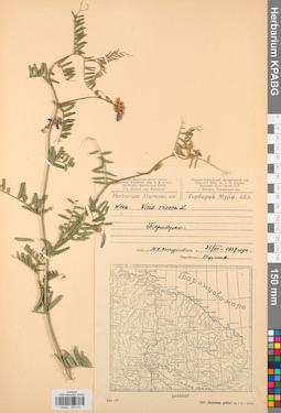 KPABG030472