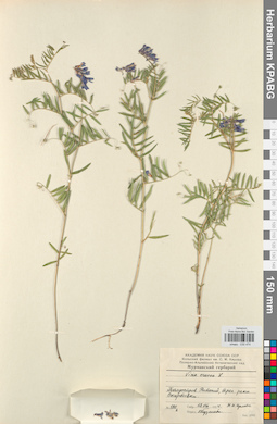KPABG030474
