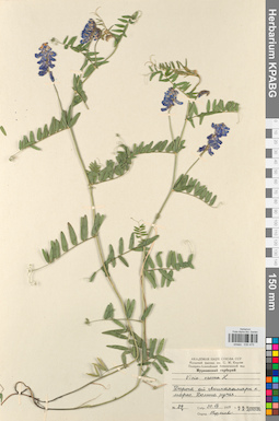 KPABG030475