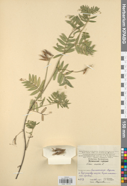 KPABG030478
