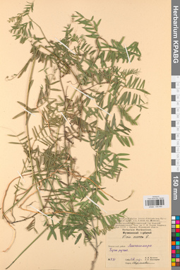 KPABG030486