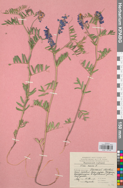 KPABG030488