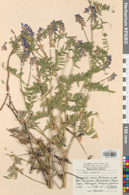 KPABG030489