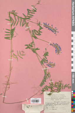 KPABG030490