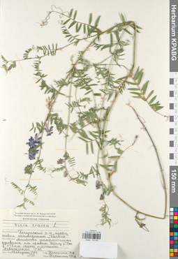 KPABG030492
