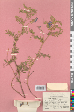 KPABG030493