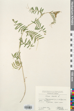 KPABG030496