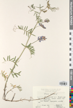 KPABG030498