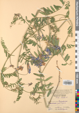 KPABG030502