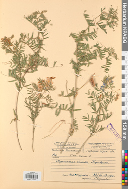 KPABG030504