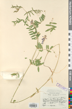 KPABG030508