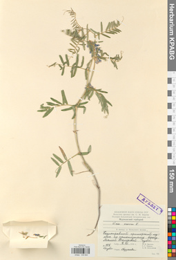 KPABG030509