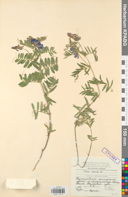 KPABG030510