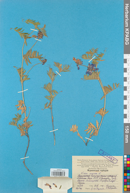 KPABG030513