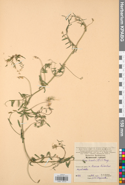 KPABG030521