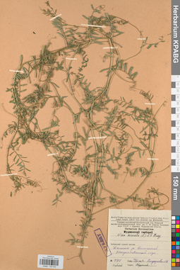 KPABG030522