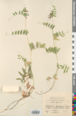 KPABG030535