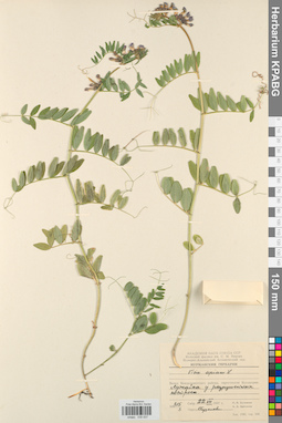 KPABG030537