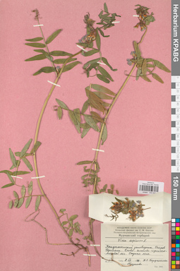 KPABG030540