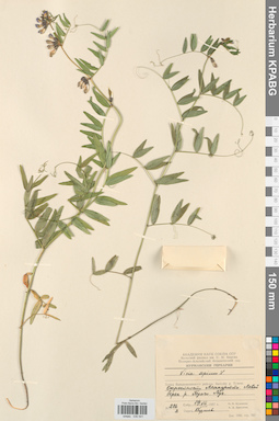 KPABG030541