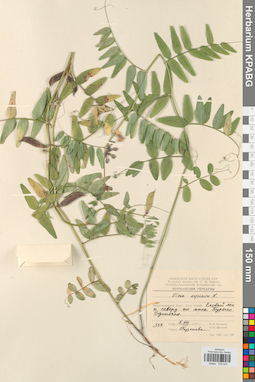 KPABG030545