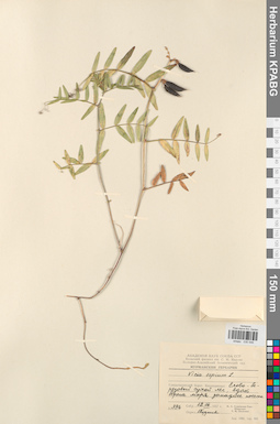 KPABG030546