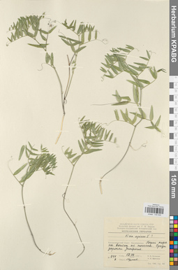 KPABG030549