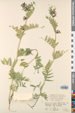 KPABG030555