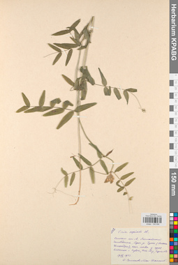 KPABG030556
