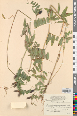 KPABG030566