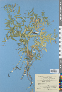 KPABG030573